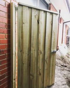 Treated Pine Gate